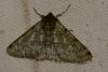 158775 – Photo : RENOULT – France (20)