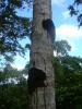 158421 – Photo : Christian Berquer – Mayotte