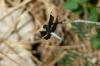 158253 – Photo : Christian Berquer – Mayotte
