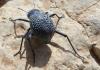 158428 – Photo : Emilien Gonzalez – Maroc