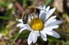 159756 – Photo : Christian Diemert – France (91)