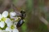159094 – Photo : Fabricius – France (13)