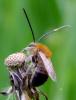 159760 – Photo : Vincent VALLI – France (18)