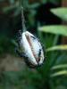 159396 – Photo : Christian Berquer – Mayotte