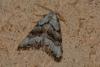 159021 – Photo : RENOULT – France (20)