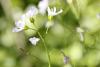 160490 – Photo : Olivier Pouvreau – France (86)