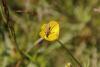 161223 – Photo : Olivier Pouvreau – France (86)