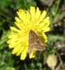 162554 – Photo : Martine – France (11)