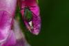 162869 – Photo : RENOULT – France (20)