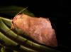 162697 – Photo : Christian Berquer – Mayotte