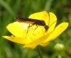 162334 – Photo : Catherine Reymonet-Smitten – France (31)