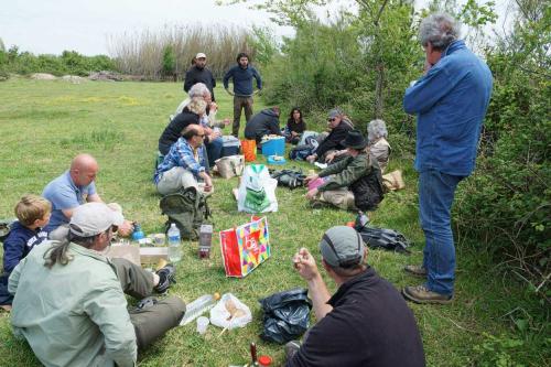 Camargue 2016