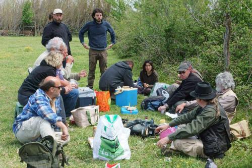 Camargue 2016