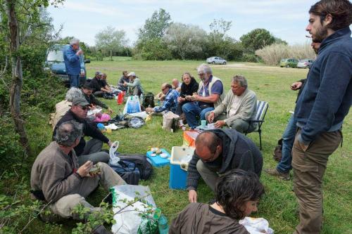 Camargue 2016