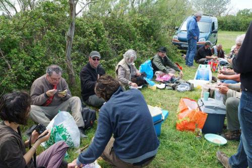 Camargue 2016