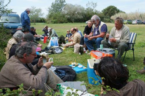 Camargue 2016