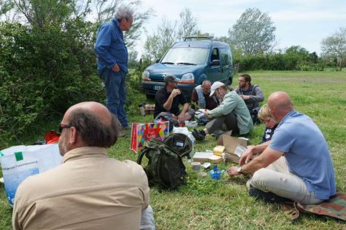 Camargue 2016