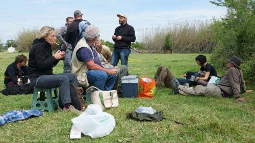 Camargue 2016