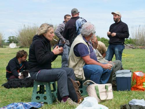 Camargue 2016