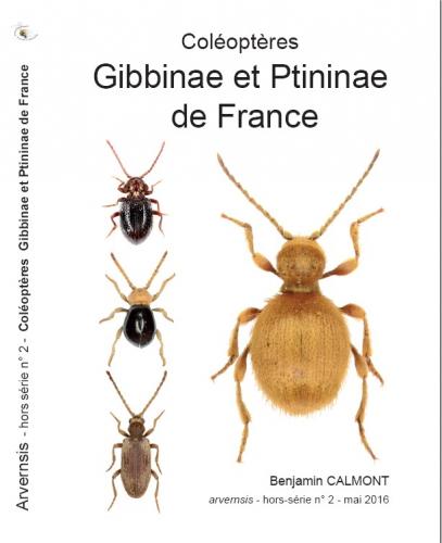 Gibbinae