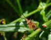 163838 – Photo : Maria Justamond – France (36)