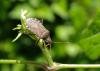 163740 – Photo : Maria Justamond – France (36)