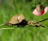 163730 – Photo : Maria Justamond – France (36)