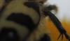 164837 – Photo : Fools – France (56)