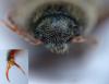 164663 – Photo : Guillaume JACQUEMIN – France (74)