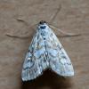 164154 – Photo : Mathurin CARNET – France (22)