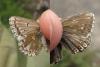 164074 – Photo : Sylvain Fadda – France (13)