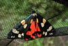 165723 – Photo : florent besson – France (18)
