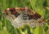 165368 – Photo : Yoann Pelouard – France (74)