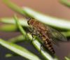 165828 – Photo : Mathieu Sandrone – France (29)