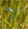 165418 – Photo : Benoit Guillon – France (85)