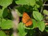 165845 – Photo : florent besson – France (18)