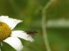 165736 – Photo : lioneldu 14 – France (14)