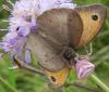 165846 – Photo : florent besson – France (18)
