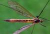 165871 – Photo : Guénael Hallart – France (02)