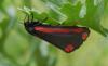 165307 – Photo : florent besson – France (18)