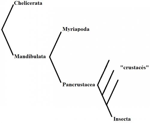 Indéterminé