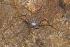 166977 – Photo : D. Martinez – Philippines