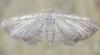 166381 – Photo : Guénael Hallart – France (02)