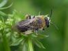 166242 – Photo : florent besson – France (18)