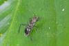 167648 – Photo : D. Martinez – Philippines