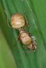 167547 – Photo : D. Martinez – Philippines