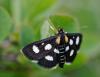 167331 – Photo : Pierre SENGEZ – France (73)