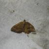 167361 – Photo : Ponnet Alexis – France (36)
