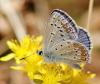 167793 – Photo : Michel Mathieu – France (30)