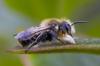 167580 – Photo : Pierre Matras – France (69)